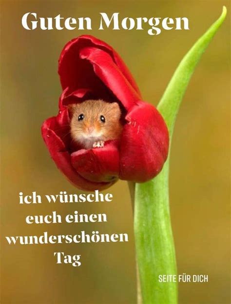 guten tag wünsche|Guten Morgen Sprüche .